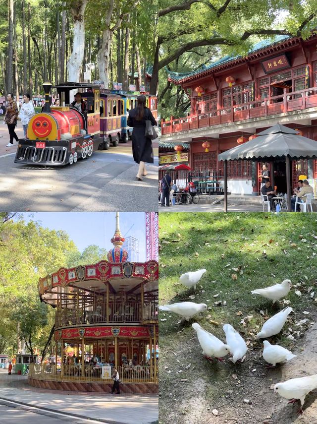武漢親子遊：中山公園遊樂全攻略