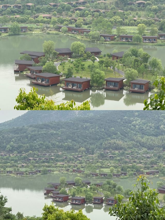 莫干山or嘉興開元森泊