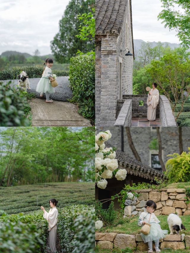 西安1.5h三省交界茶園深處神仙日子