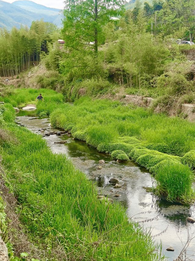 莫干山隱藏玩法人少到離譜附路線
