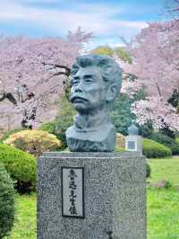 🌸仙台東北大學｜限定櫻花季🌸