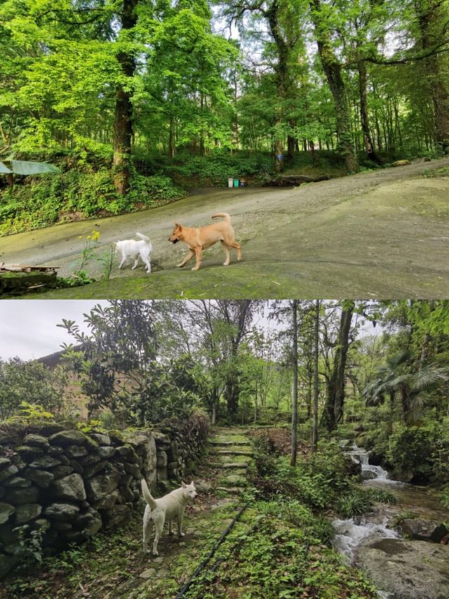 藏在山水間的徒步驛站治癒你的山野情懷