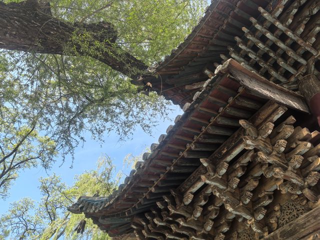 晉祠半日遊