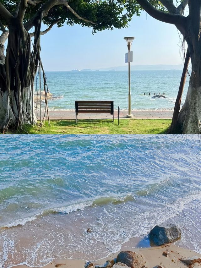 廈門環島路，一場海邊嘅浪漫之旅