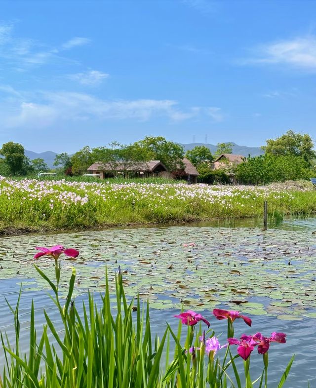良渚公園
