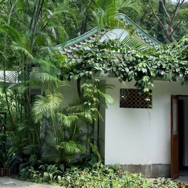 廣州越秀公園 | 藏在市中心的千年時光與自然詩意🌳
