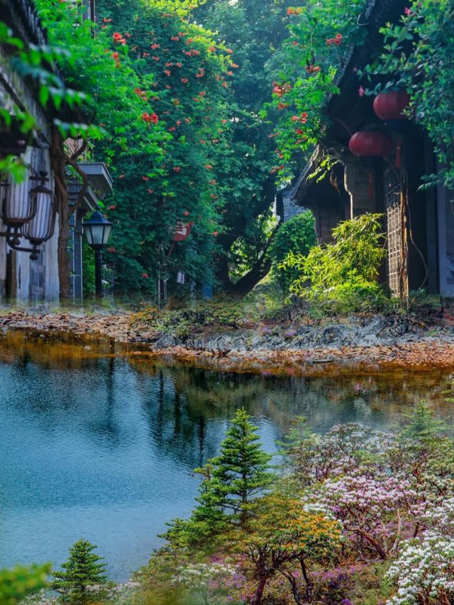 邂逅六朝古都