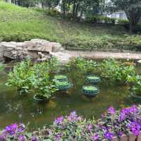 金鐘秘境｜走進香港公園的隱藏版「城市童話」