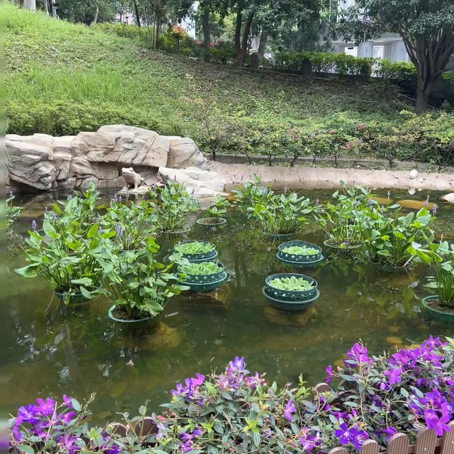 金鐘秘境｜走進香港公園的隱藏版「城市童話」