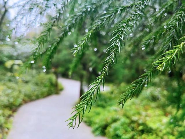 熟悉嘅地方冇風景 行出一步 全部係風景