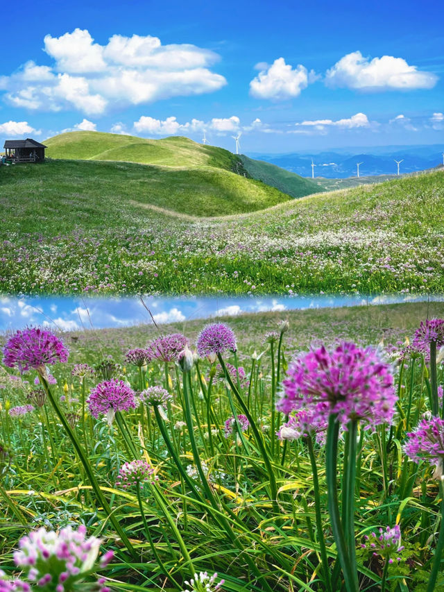 爽翻19℃嘅夏天！中國涼都六盤水3日2夜避暑攻略