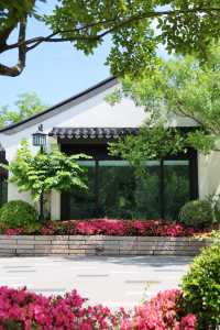 上虞運河畔嘅街區，活力煥新，休閒好去處！