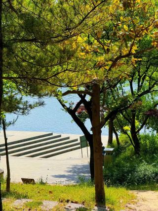 Weifang Bailang Oasis: The City's Natural Oxygen Bar