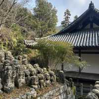Adventures in Arashiyama 