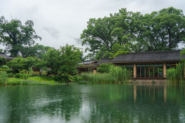雨落牯牛降｜我花一日時間，聽山野呼吸