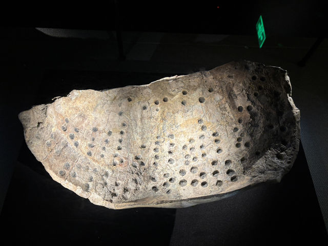 【中国・成都】金沙遺跡博物館は見応えたっぷり！