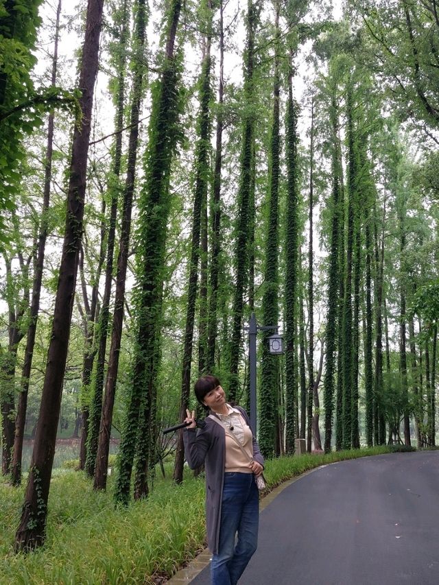 🌸 《夢回紅樓・上海大觀園》