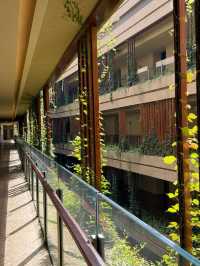 救命！住進阿麗拉才懂什麼叫「錢花得值」！270°無敵海景直接美到窒息😭