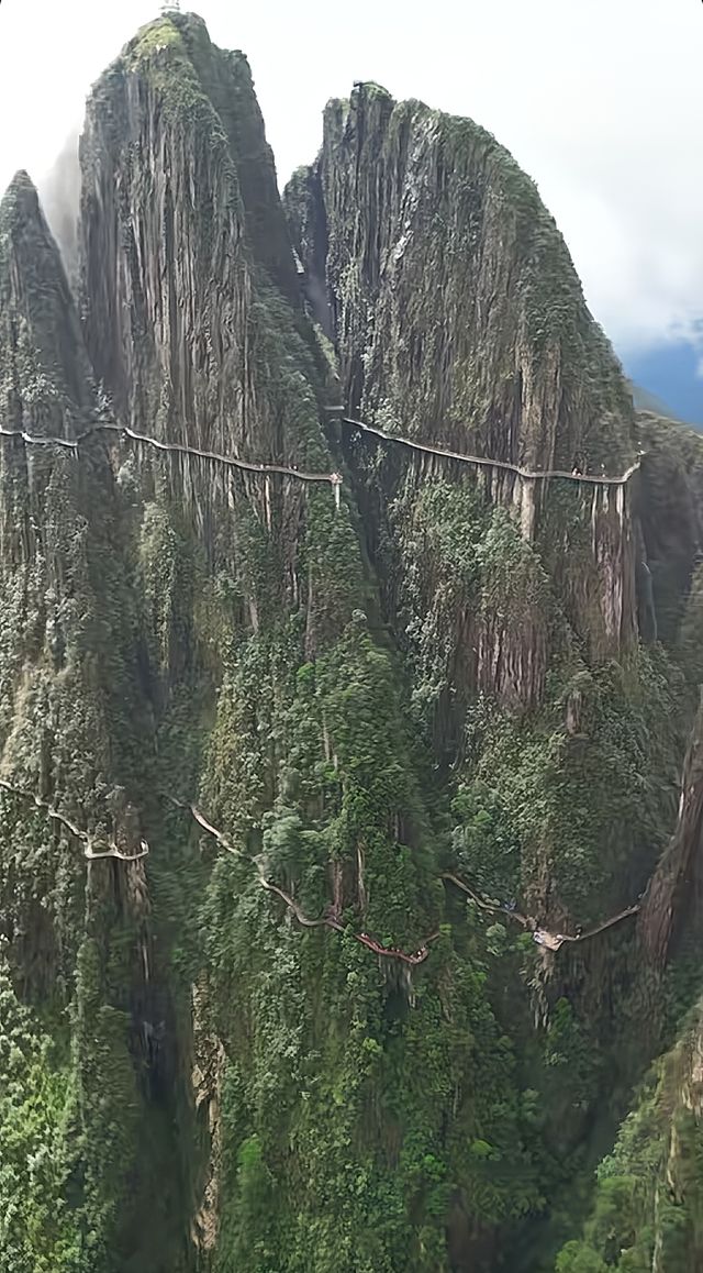 我在雲端，你在我心裡！