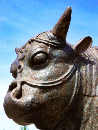 The Great Iron Oxen of the Yellow River, forged with the strength of a nation, are truly worth seeing!