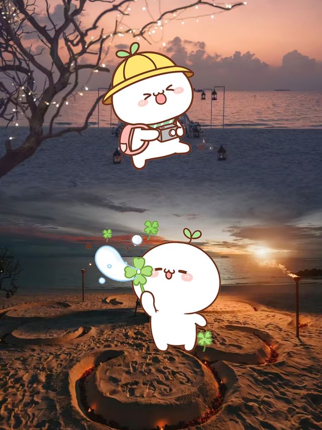 【馬爾代夫環礁私藏｜太陽島伊露維利的潮汐慢生活實錄】