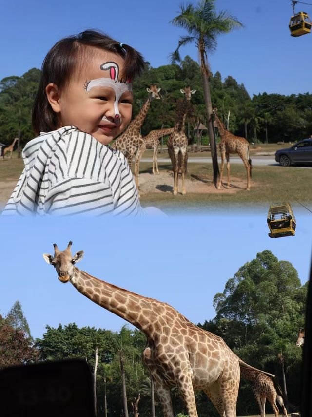 就衝這一點！就只住廣州長隆酒店
