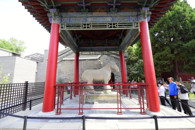 尋古探幽～西安碑林博物館（國家一級）