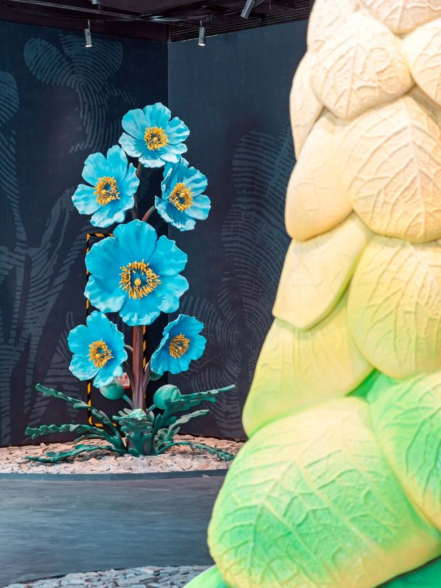 為咗呢面雜誌牆，我去咗前灣一趟，值得嗎