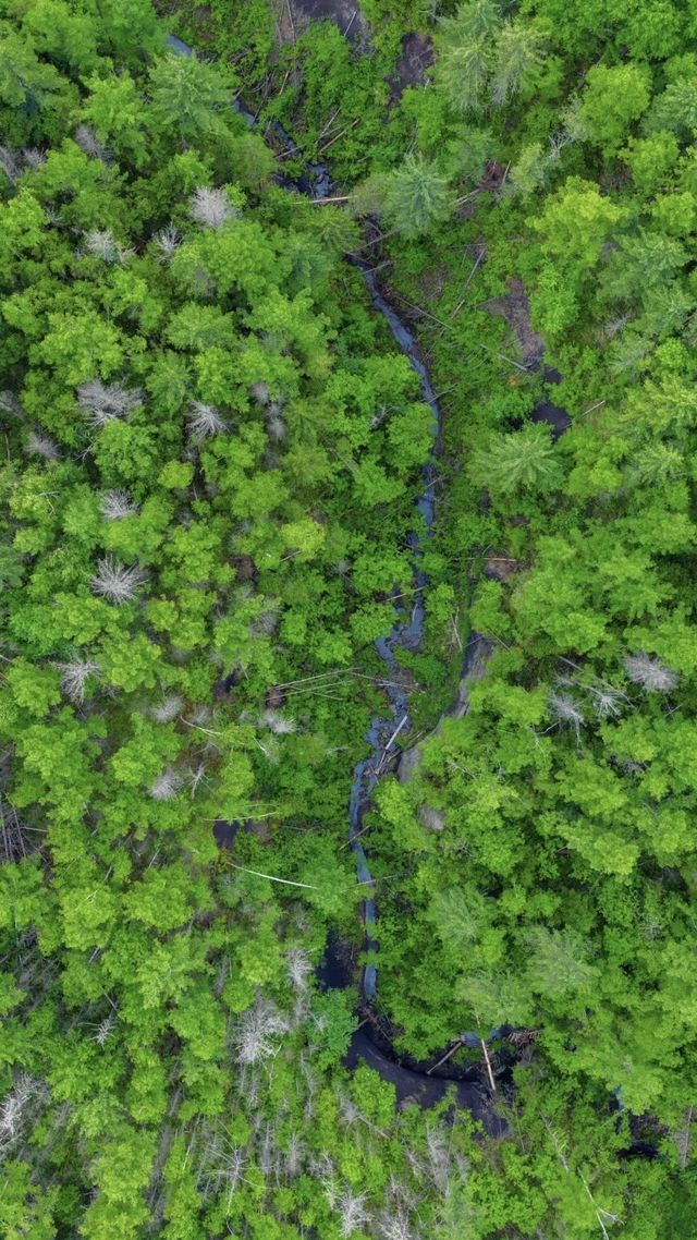長白山天池！邂逅神秘「水怪」嘅絕美仙境