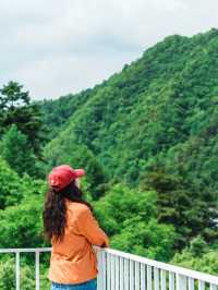 暑假反向避暑留壩小城藏住22º嘅夏天