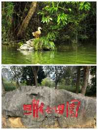 啱啱從廣西明仕田園返嚟，講啲難聽嘅大實話