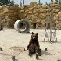Shenzhou Desert Wildlife Zoo - 神州荒漠野生动物园!