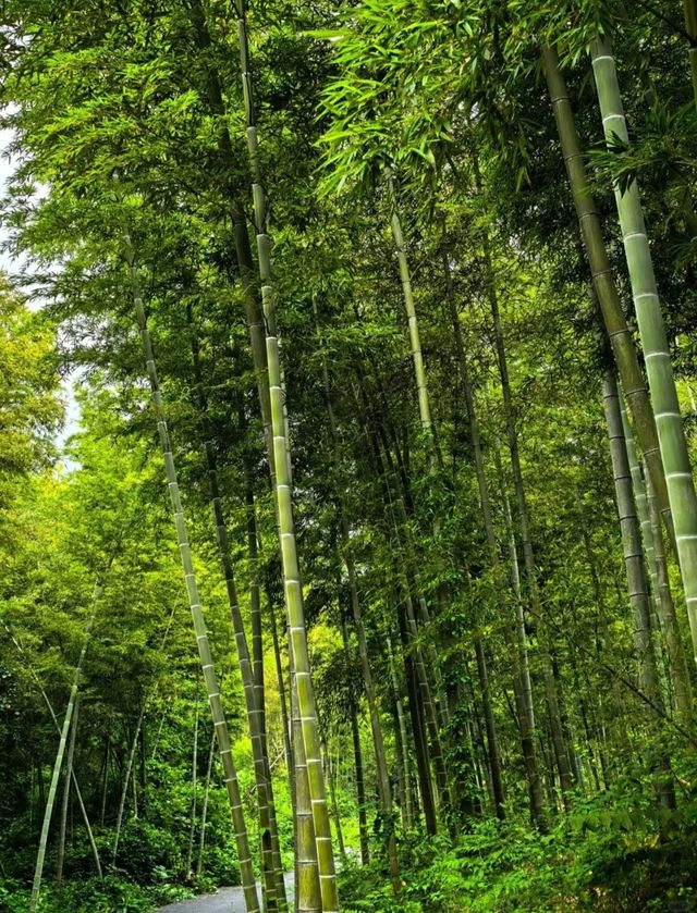 衡陽精華遊：9大必打卡景點全攻略