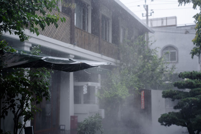 在北京王府井嘅胡同深處，遇見幽蘭