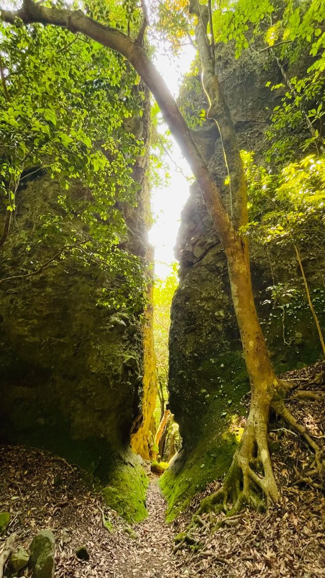 ✨ 國東半島｜在神佛結界中追浪！99%人不知道的藝術+溫泉孤島 ✨