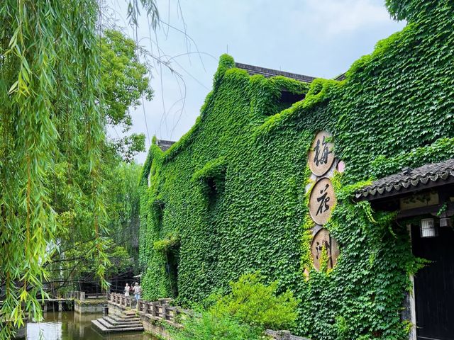 去咗4次梅花洲，終於玩到明！