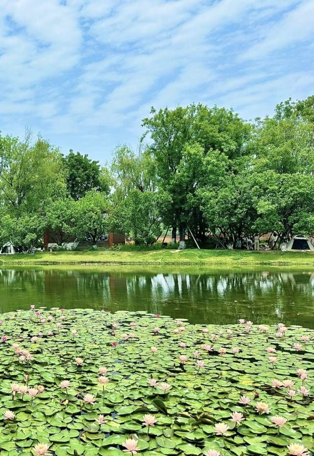 錦城湖公園 | 成都嘅城市綠肺與休閒寶地