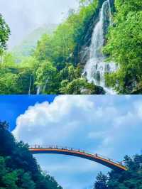 神農架嘅夏天，真係人間理想。
