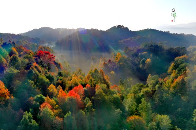 代家灣嘅紅葉谷
