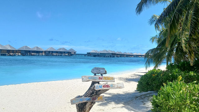A Slice of Paradise: Adaaran Prestige Vadoo Review