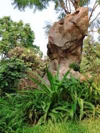 廣州旅遊本地人私藏的好去處—越秀公園～