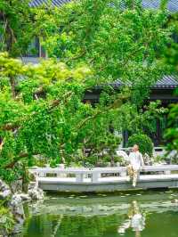 安吉｜住進23°綠野仙蹤竹海深處的治癒系溫泉酒店