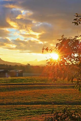 Hunter Valley Living: Neighbors with Kangaroos, Sleeping to the Scent of Wine