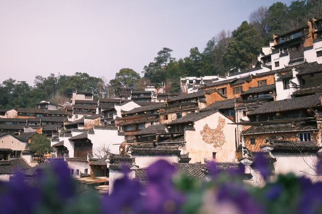 來婺源篁嶺旅遊想住山上的朋友可以看過來。