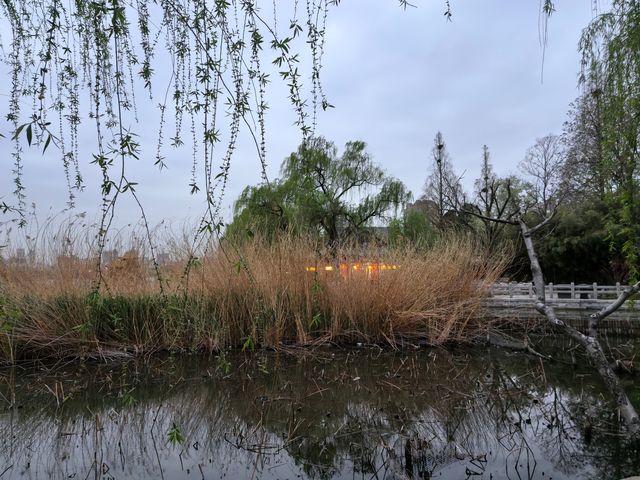 春遊大明湖全指南 春遊大明湖全指南