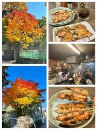 札幌秋景美食溫泉行程攻略🍁