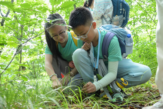 闖入黑土地，解鎖了「東北八大怪」的秘密