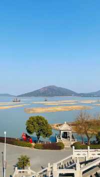 夕陽下與海鷗共舞