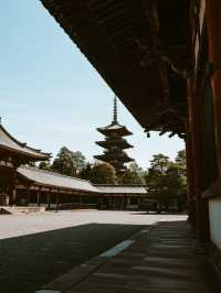 奈良東大寺手記｜在蓮花座下與唐朝的風重逢