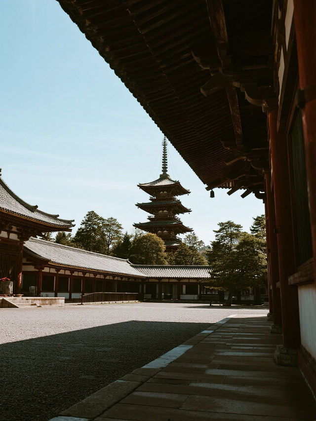 奈良東大寺手記｜在蓮花座下與唐朝的風重逢